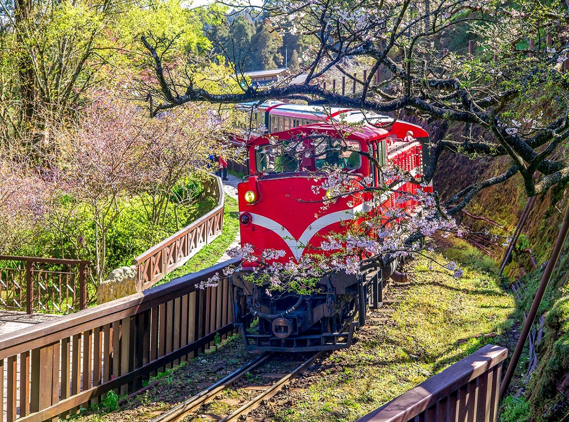 【携程攻略】嘉义市阿里山森林铁路车库园区景点,阿里山小火车是阿里山的必须体验项目之一。最早阿里山的小火车是用来…